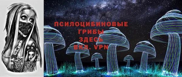 дживик Белоозёрский