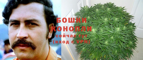 PSILOCYBIN Беломорск