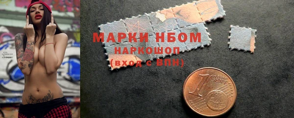 молекула духа Богородск