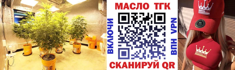 ТГК концентрат  Мамадыш 