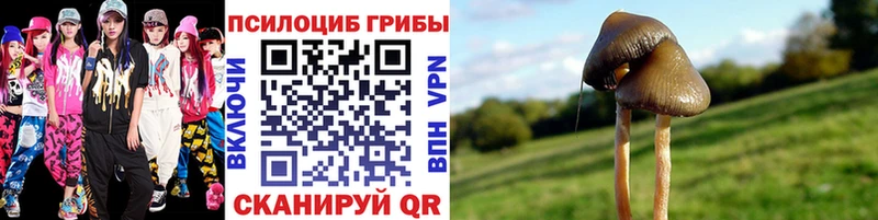 Галлюциногенные грибы MAGIC MUSHROOMS Мамадыш